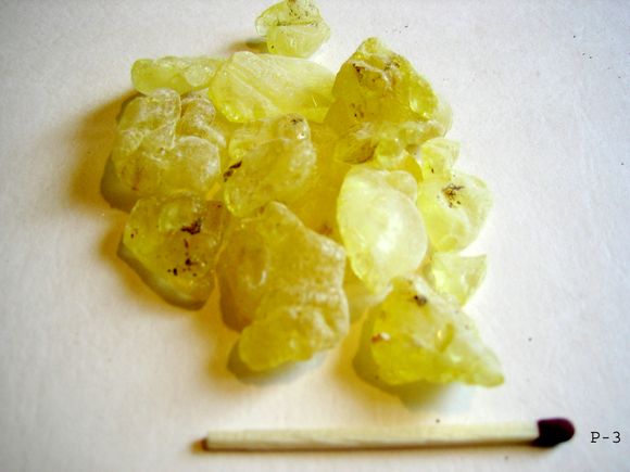 Pistacia lentiscus resin is called gum mastic and is used in indigestion